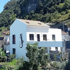 Lazy Lizard By The Ocean Seixal (Madeira)